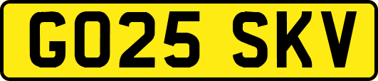 GO25SKV