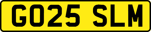 GO25SLM