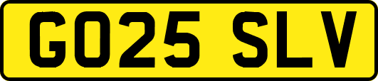 GO25SLV