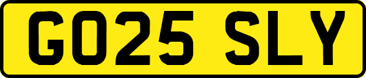 GO25SLY