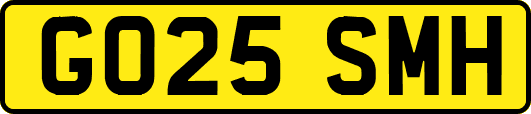 GO25SMH
