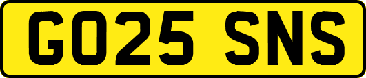 GO25SNS