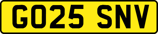 GO25SNV
