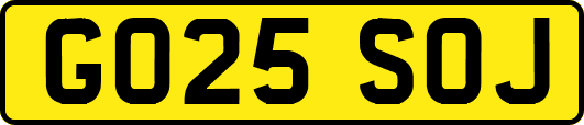 GO25SOJ