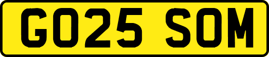 GO25SOM