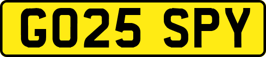 GO25SPY