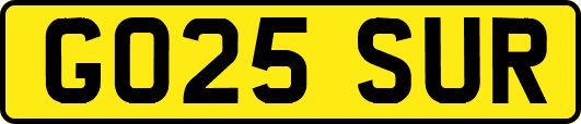 GO25SUR