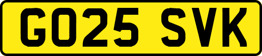 GO25SVK