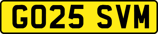 GO25SVM
