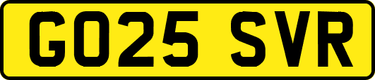 GO25SVR