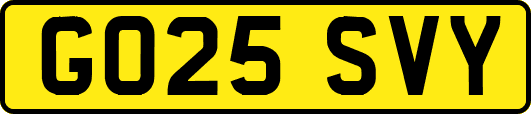 GO25SVY