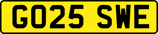 GO25SWE