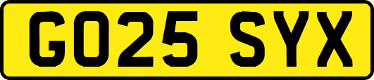 GO25SYX