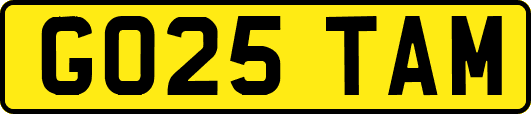 GO25TAM