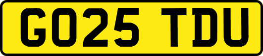 GO25TDU