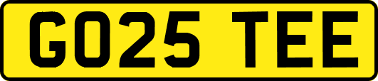 GO25TEE