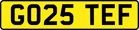 GO25TEF