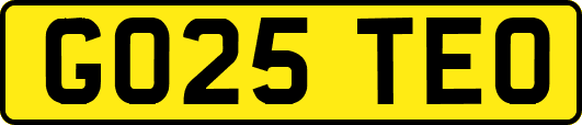 GO25TEO