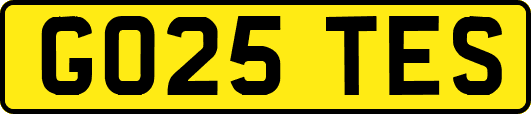GO25TES