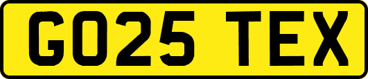 GO25TEX