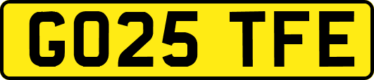 GO25TFE