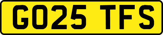GO25TFS