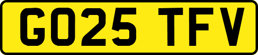 GO25TFV