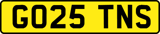 GO25TNS