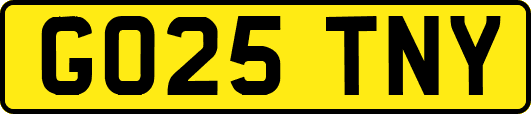 GO25TNY