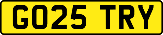 GO25TRY