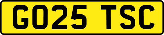 GO25TSC