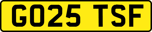 GO25TSF