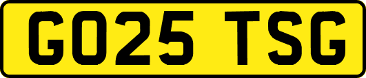 GO25TSG