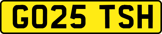 GO25TSH