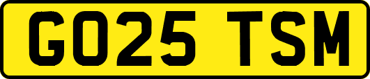 GO25TSM