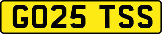 GO25TSS