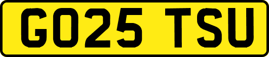 GO25TSU