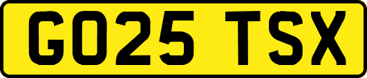 GO25TSX