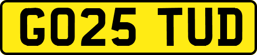 GO25TUD