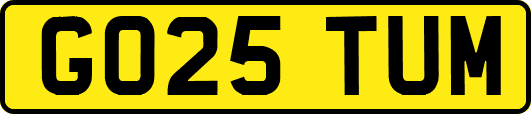 GO25TUM