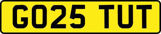 GO25TUT
