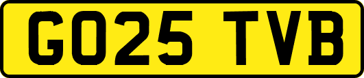 GO25TVB