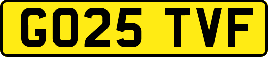 GO25TVF