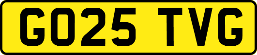 GO25TVG