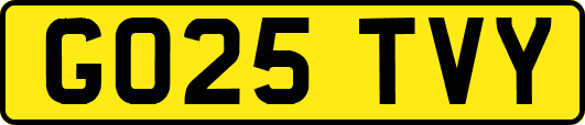 GO25TVY