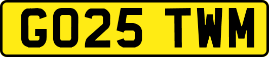 GO25TWM