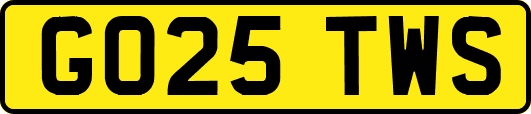 GO25TWS