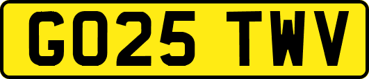 GO25TWV