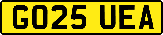 GO25UEA