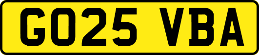 GO25VBA